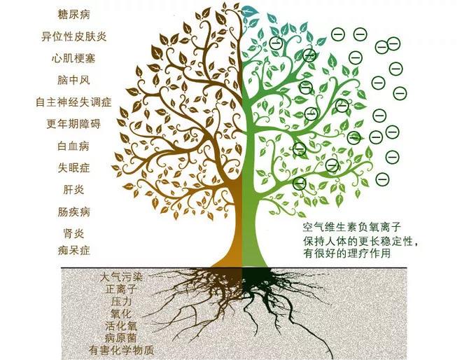 微信圖片_20191211092217.jpg
