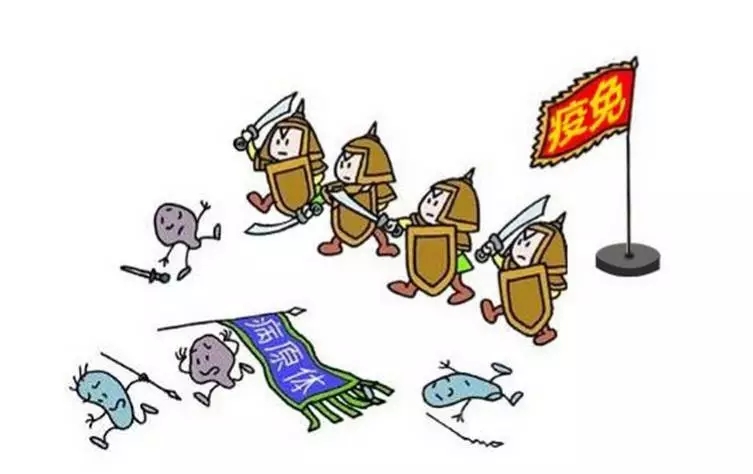 免疫力——新的競爭力!