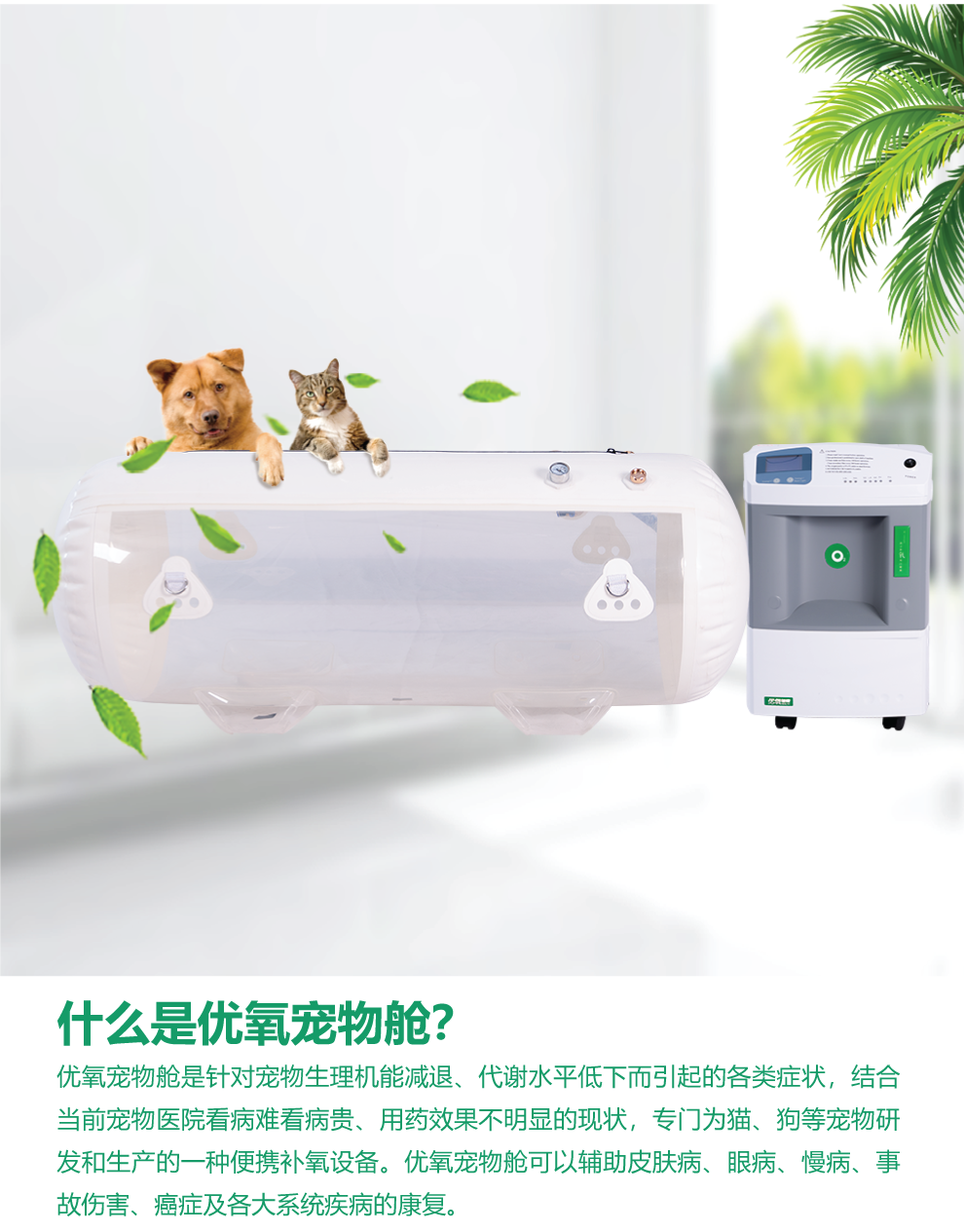 微信圖片_20200427124437.png
