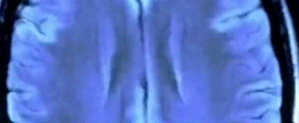 微信圖片_20200523155345.gif