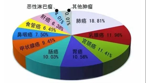 微信圖片_20200529150751.jpg