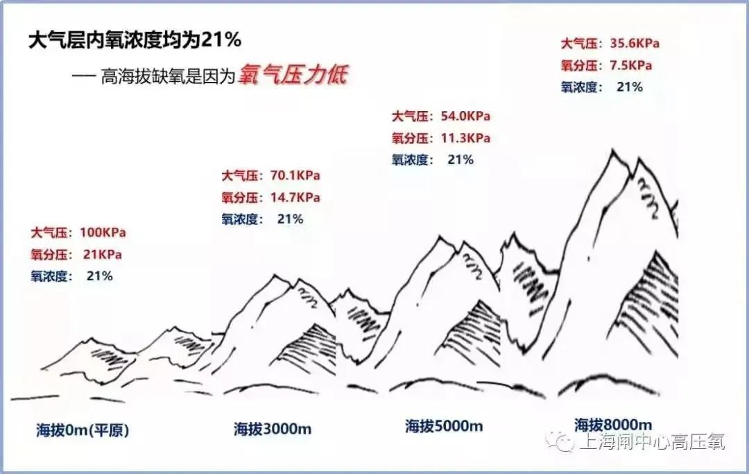 微信圖片_20200608144756.jpg