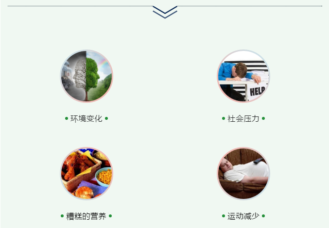 微信圖片_20200614134323.png