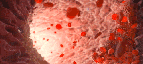 微信圖片_20200810132834.gif