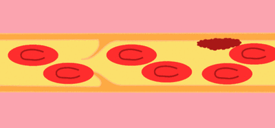 微信圖片_20200810132838.gif