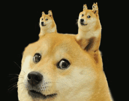 微信圖片_20200904091409.gif