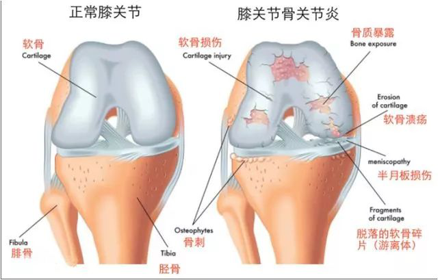 微信圖片_20200909084944.png