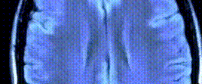 微信圖片_20201231230326.gif