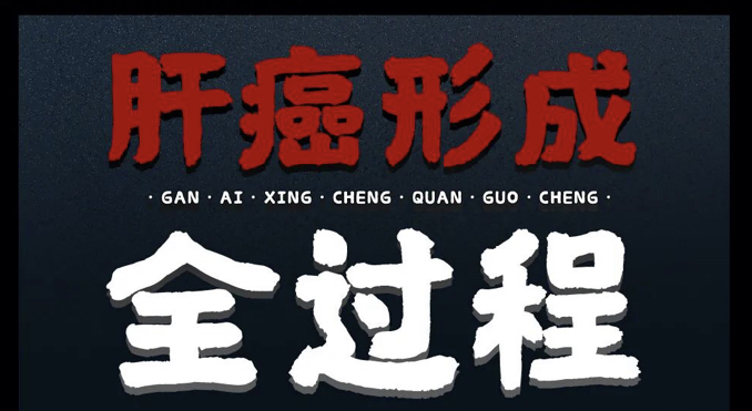 肝被透支的全過(guò)程曝光！