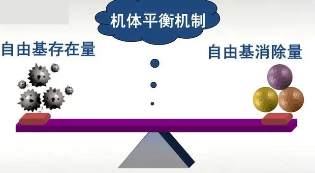 微信圖片_20210320131450.jpg